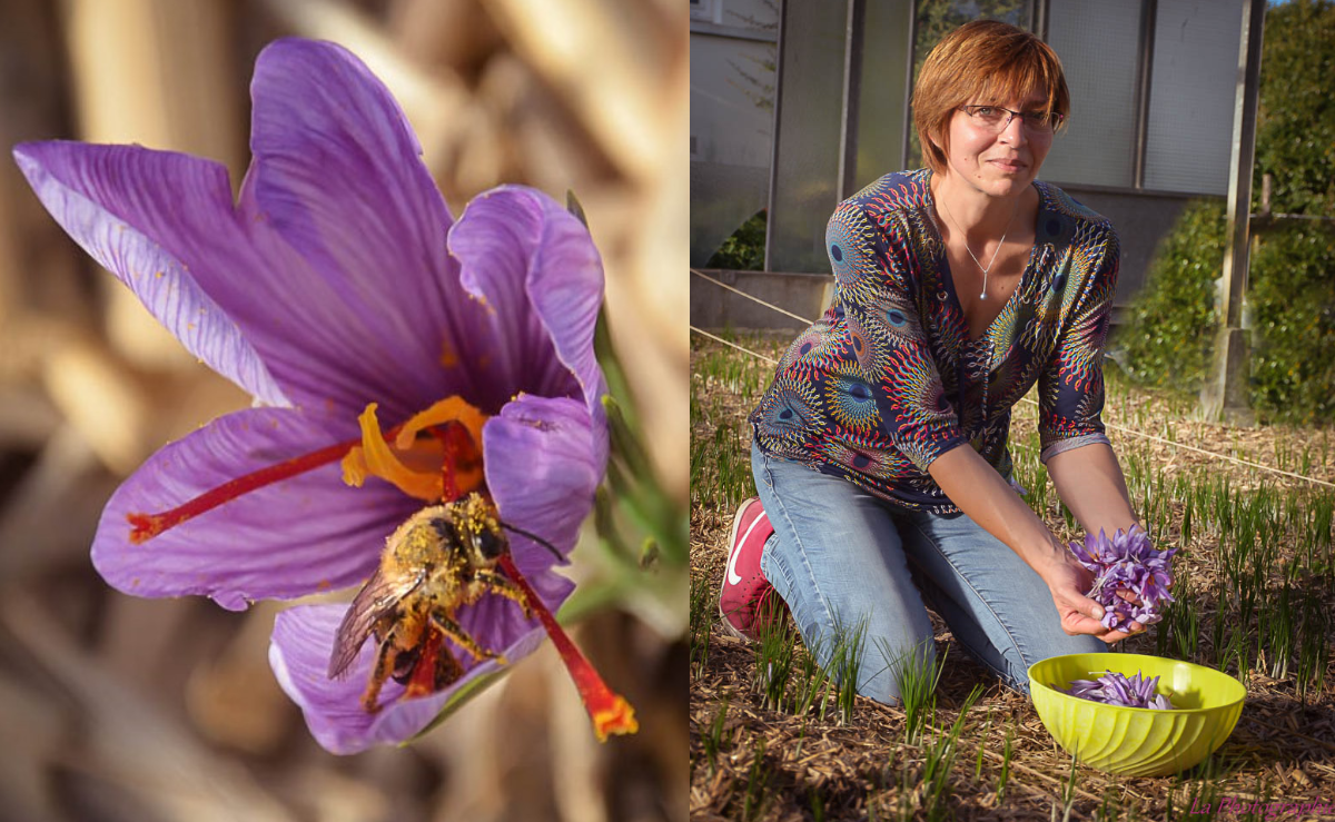 Une culture respectueuse de la nature